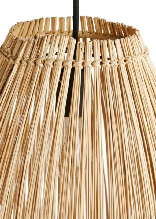 Lamp Fishtrap