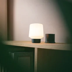 Lamp Intelligent - Ambience