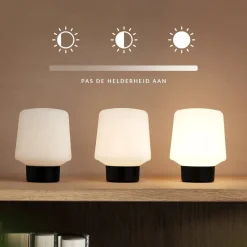 Lamp Intelligent - Ambience
