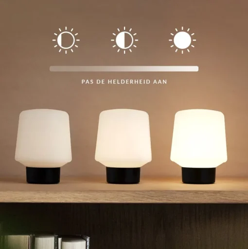 Lamp Intelligent - Ambience