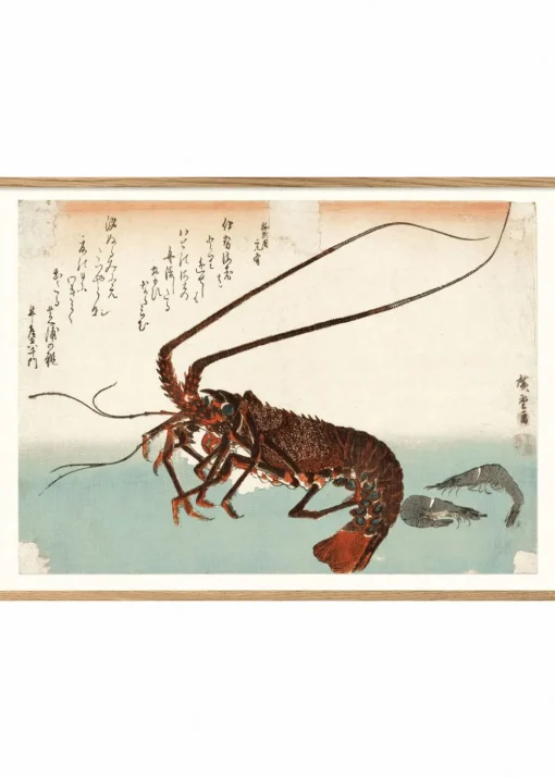 Languster #4801