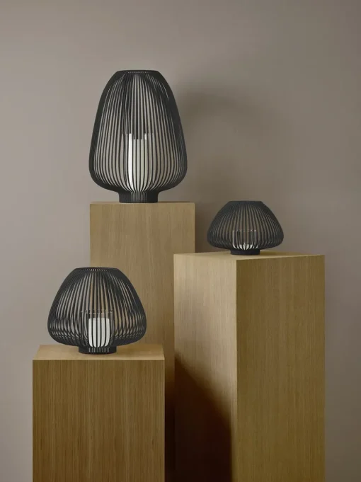 Lantern - Lyva