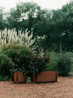 Lapel Planter