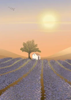 LAVENDER FIELD - poster