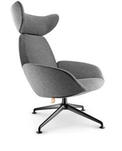 Laze chair