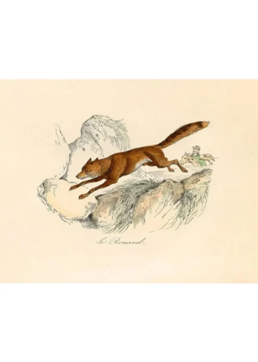 LE RENARD