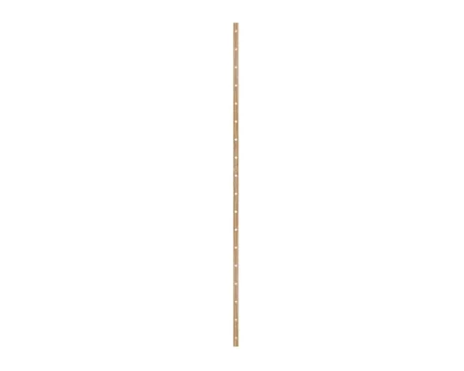 Library Rail