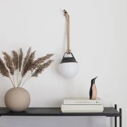 Light 150