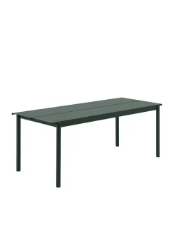 Linear Steel Table