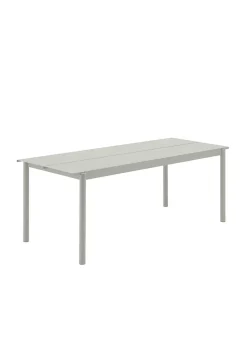 Linear Steel Table
