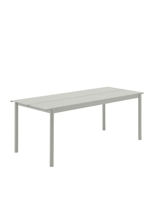 Linear Steel Table