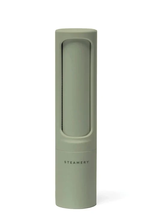 Lint brush