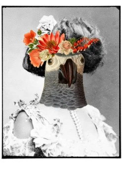 Madame Florence No. 9100