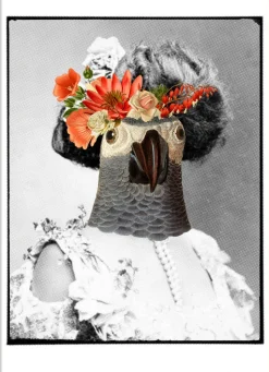 Madame Florence No. 9100