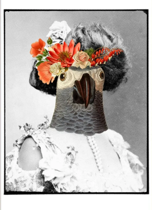 Madame Florence No. 9100