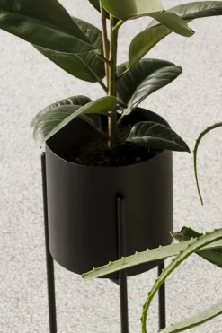 Maki Plant Pot - Tall