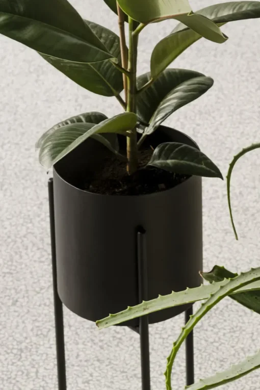 Maki Plant Pot - Tall