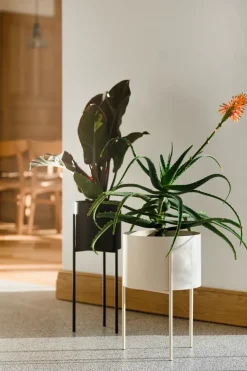 Maki Plant Pot - Tall