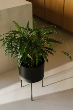 Maki Plant Pot - Wide