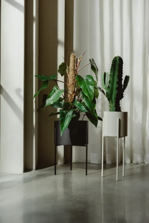 Maki Plant Pot - Wide