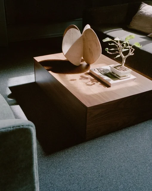 Mass Coffee Table High w. Drawer