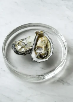 Mass Dish