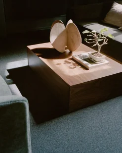 Mass Wide Coffee Table w. Drawer