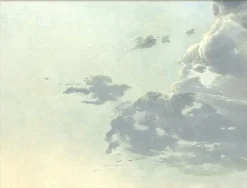 Meteorology #5902