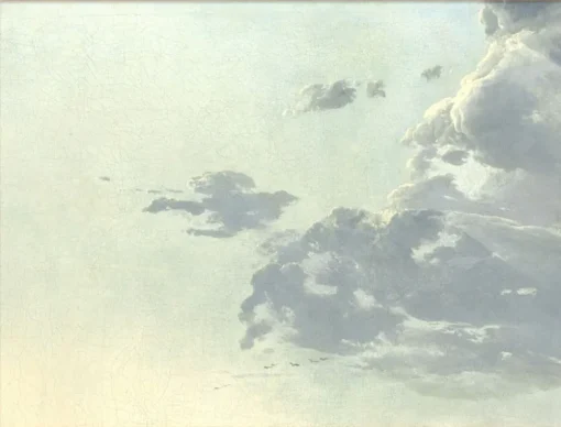 Meteorology #5902