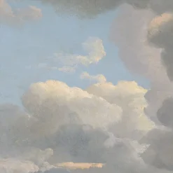 Meteorology #5900
