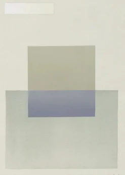 MIES #1