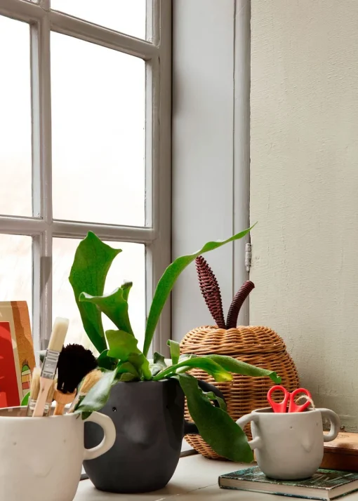 Mus Plant Pot