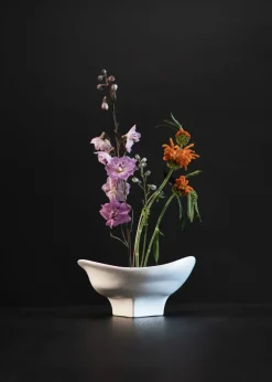 Nami bowl