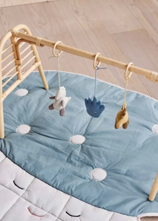 Nana Mini Activity Play Gym