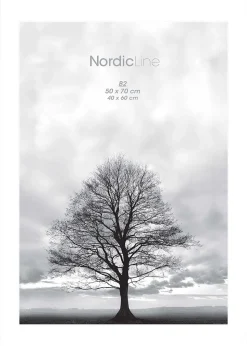 Nordic Line frames - Berry Conserve