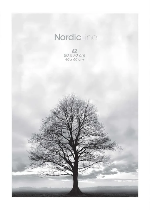 Nordic Line frames - Berry Conserve