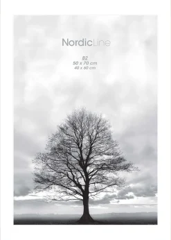 Nordic Line frames - Dirty Rose
