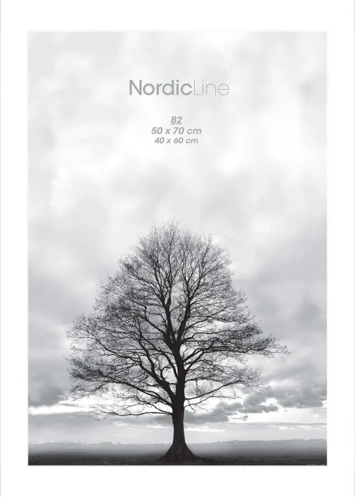 Nordic Line frames - Dirty Rose