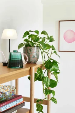 Normu Pots (set Of 2)