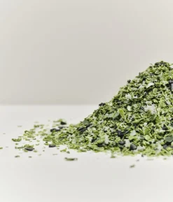 Ocean OC2 Tisch - Grün