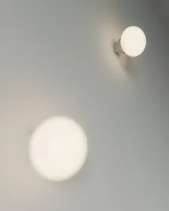 Ovoid Sconce