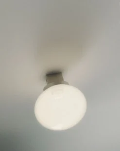 Ovoid Sconce