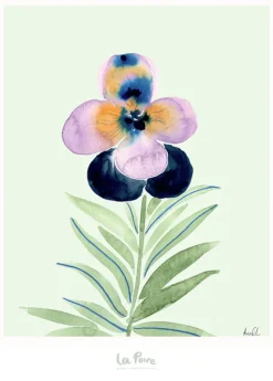 Pansy I