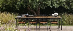 Paon dining chair