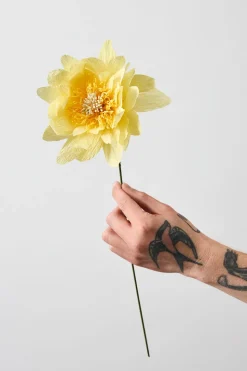 Paper Flower, Cottage Rose