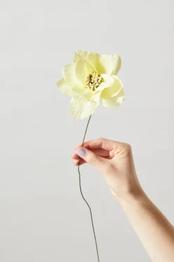 Paper Flower, Dahlia