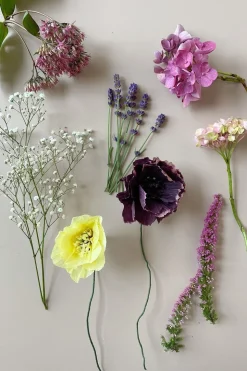 Paper Flower, Dahlia