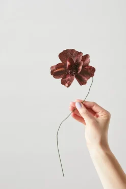 Paper Flower, Daisy