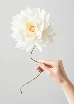 Paper Flower, Grand Dahlia