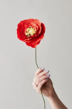 Paper Flower, Ice Poppy